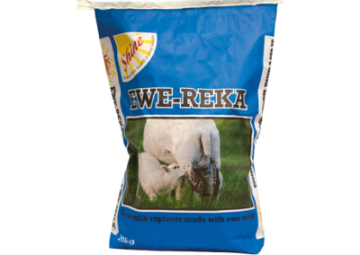 Ewe-reka