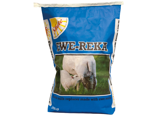 Ewe-reka