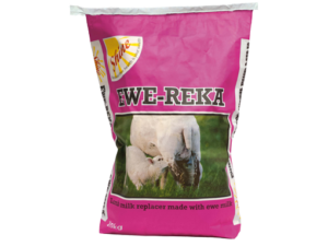 Shine Ewe-Reka Freeflow