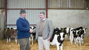 Calves reared on Compumate® hit lifetime performance targets