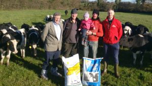 Weaning accelerated by two weeks in calves fed Shine Once-a-Day