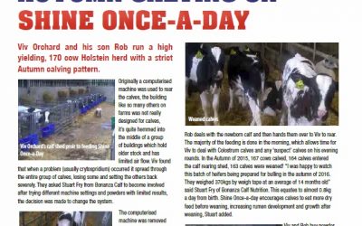 Shine newsletter – Issue 8