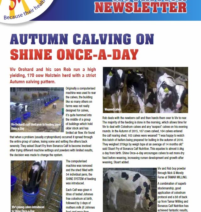 Shine newsletter – Issue 8