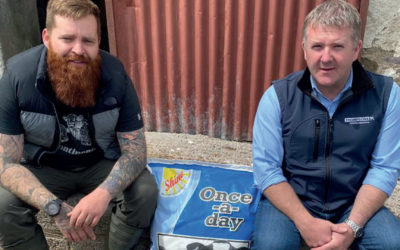 Calves weaning up to 10 days earlier on Shine Once-a-Day milk replacer