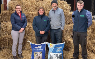 New Feeding system transforms calf rearing at County Kerry dairy farm