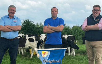 Once-a-day calves doubling birth weights at eight weeks