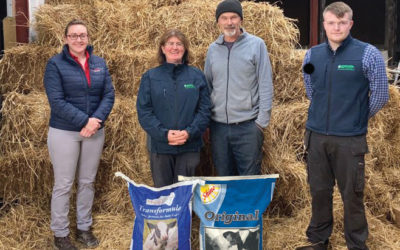 New Feeding system transforms calf rearing at County Kerry dairy farm