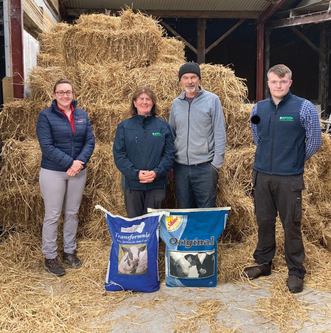 New Feeding system transforms calf rearing at County Kerry dairy farm ...