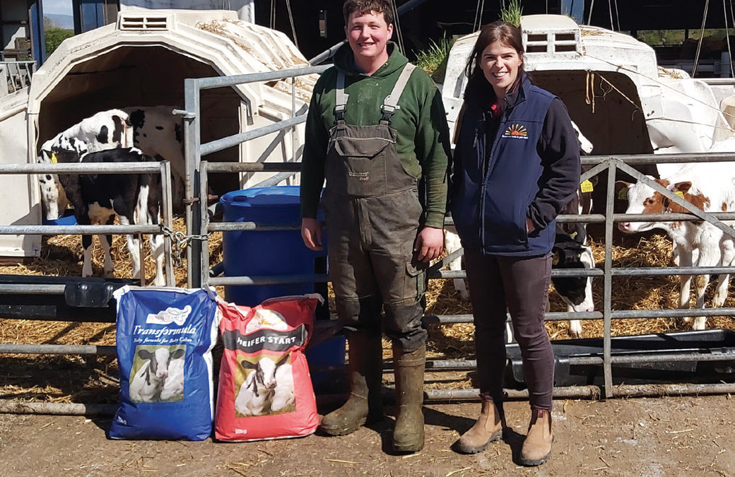 New calf house leads to improved calf rearing system