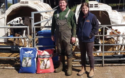 New calf house leads to improved calf rearing system