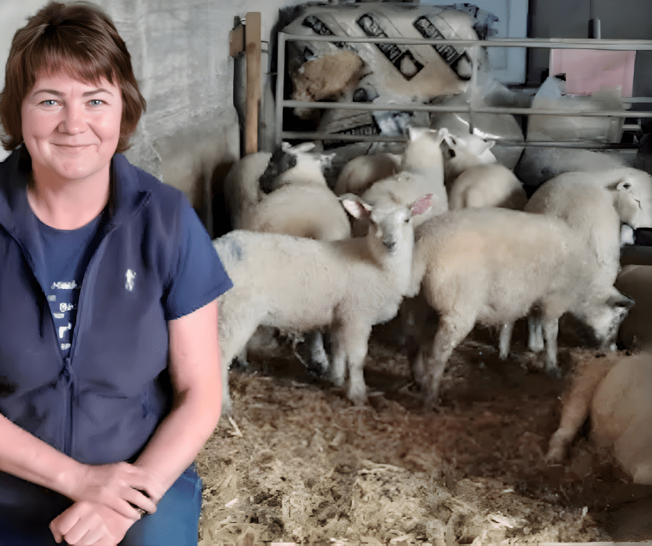 Image of farmer Iris with her lambs promoting Shine Ewereka